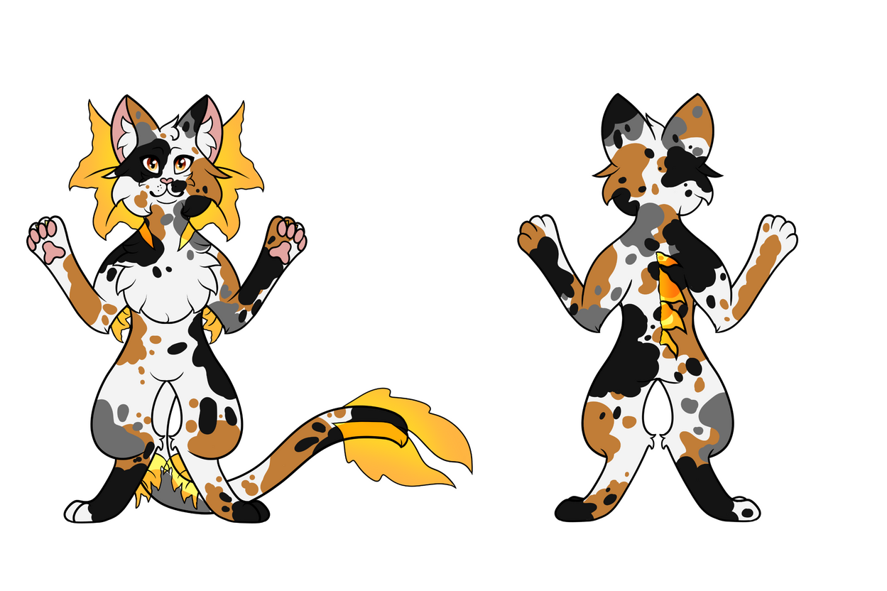 Splash Calico