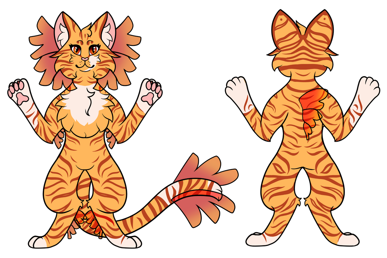 Orange Tabby