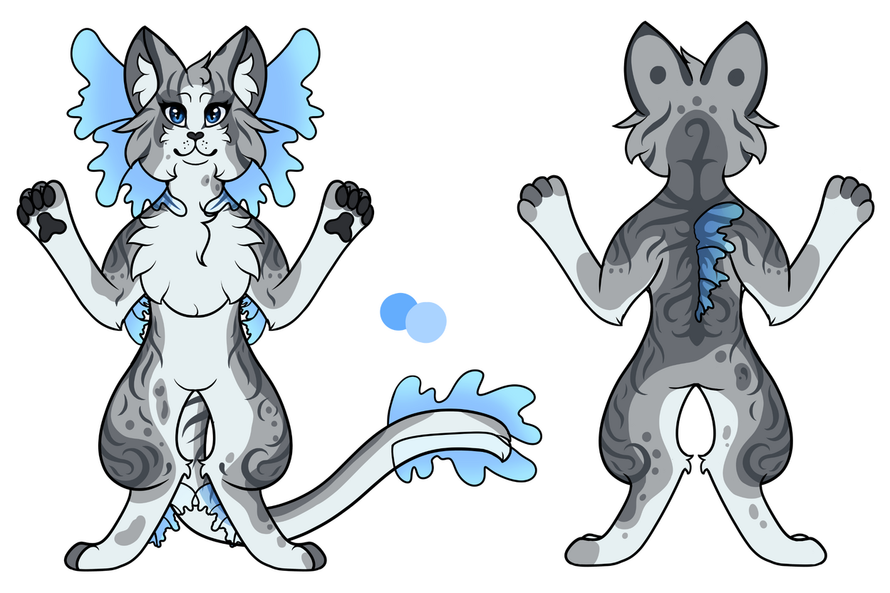Grey Tabby
