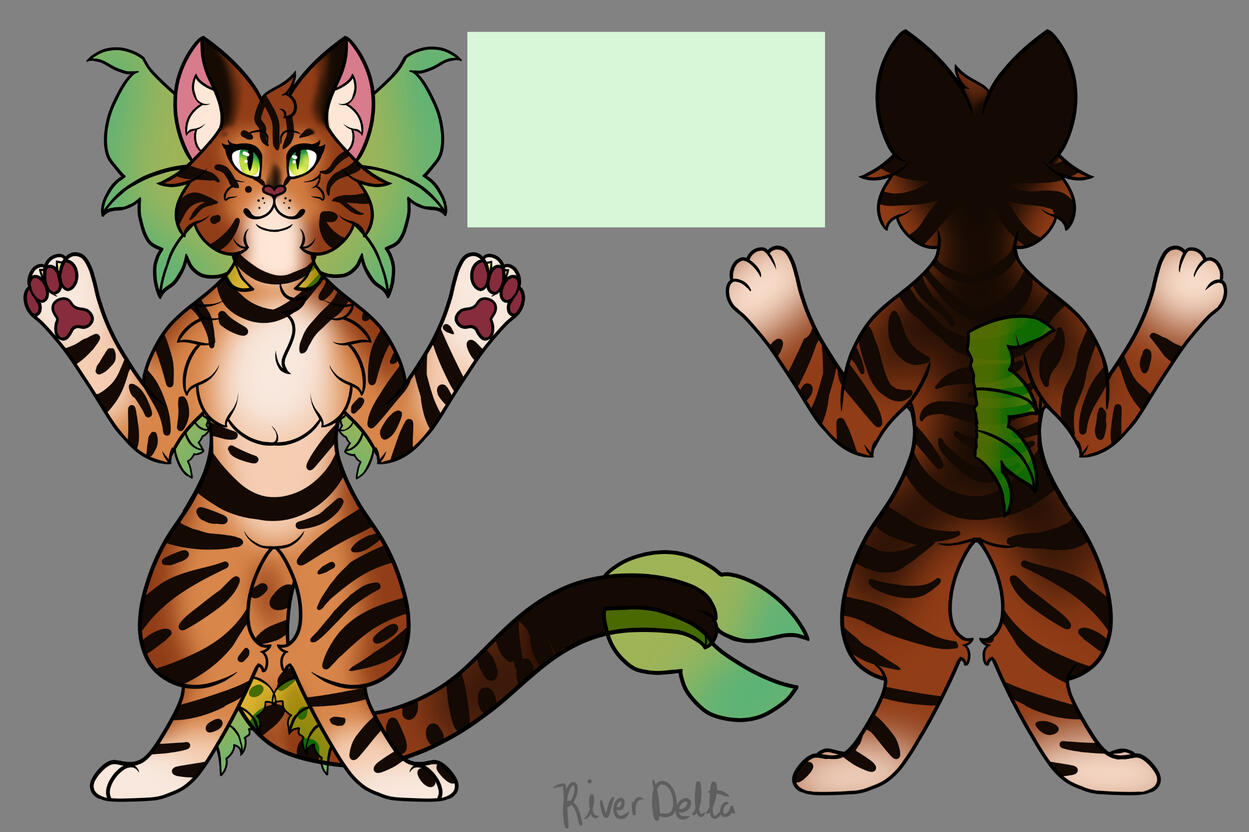 Brown Tabby