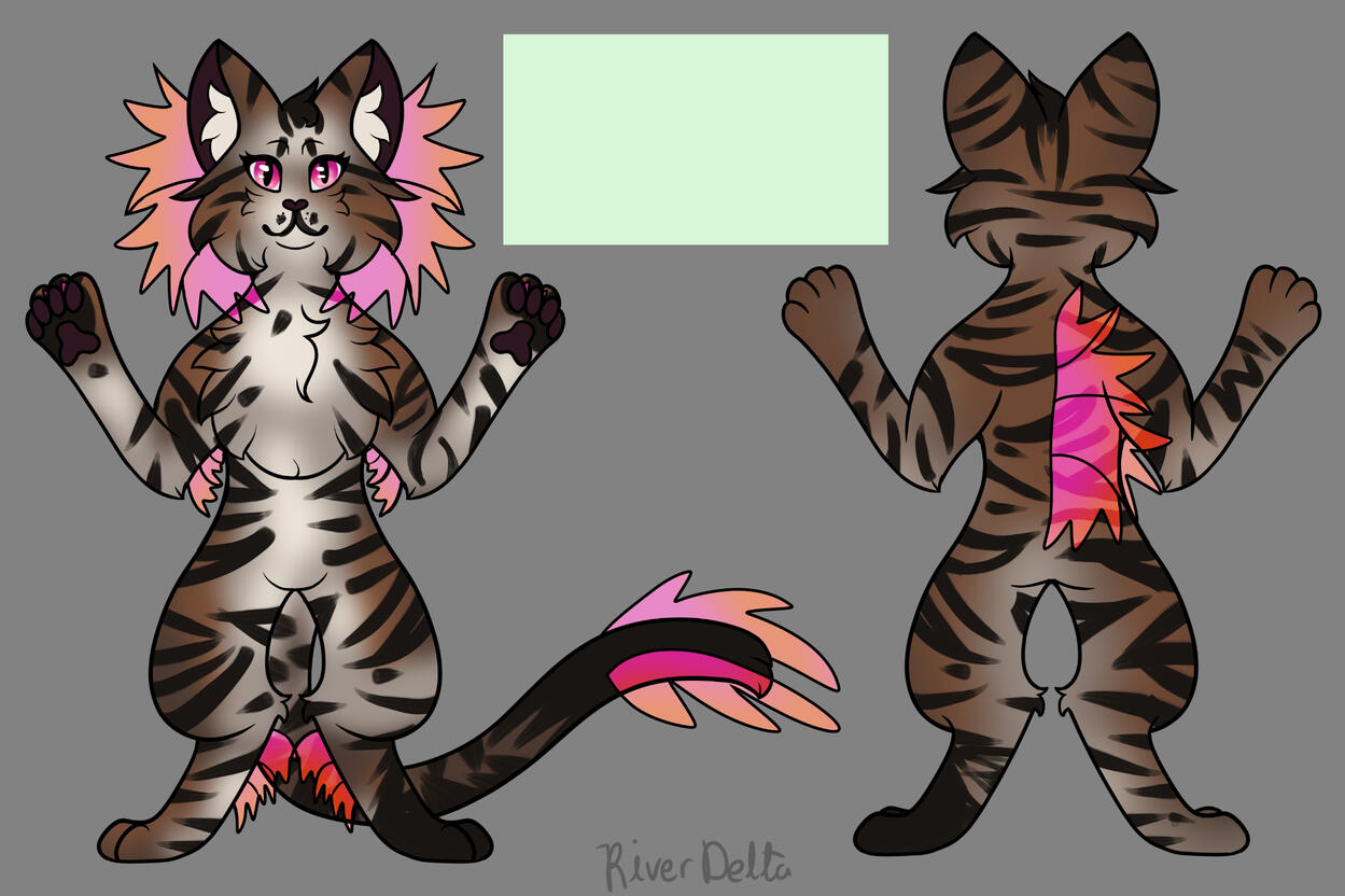 Brown Grey Tabby