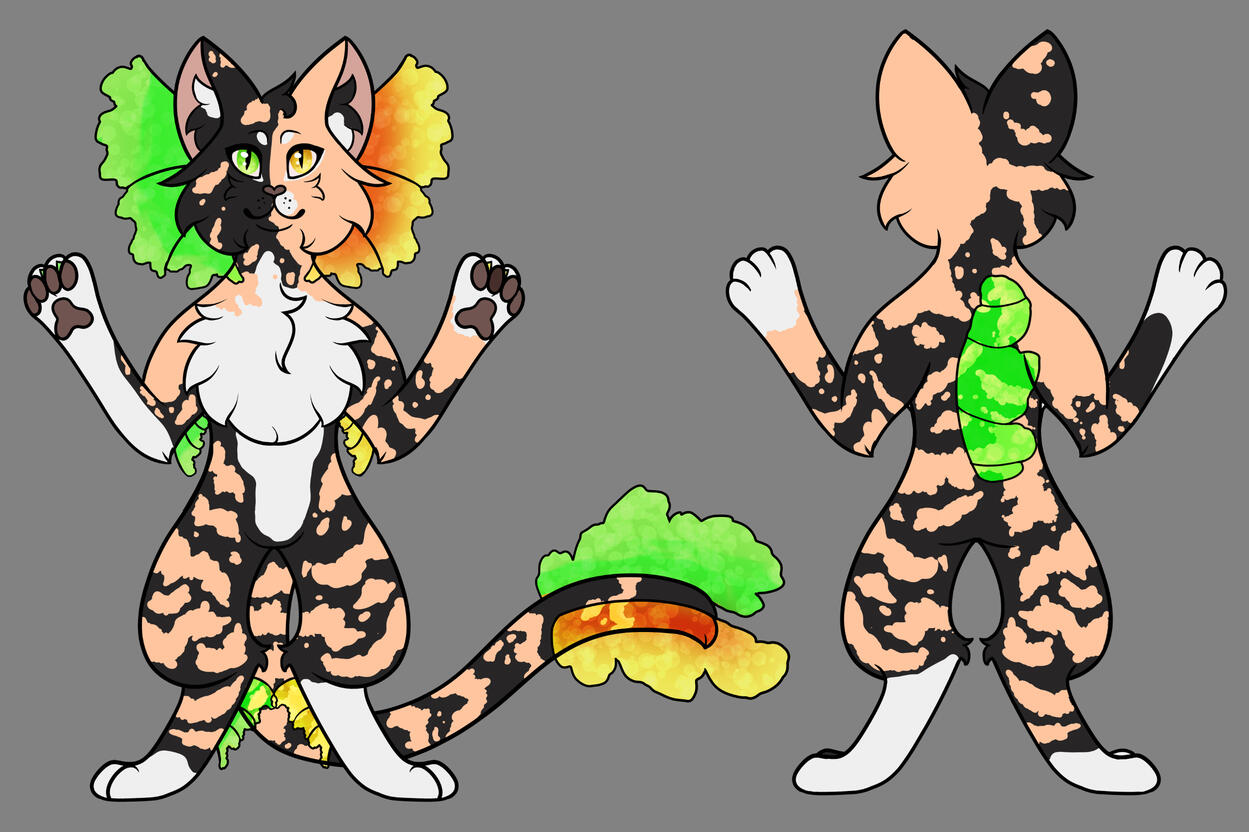 Split Face Torti